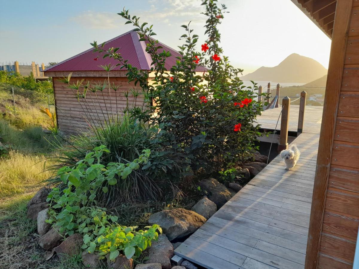 Ti Kaz Anoli Cottage En Bois Avec Vue Sur La Baie Terre-de-Bas Exterior foto